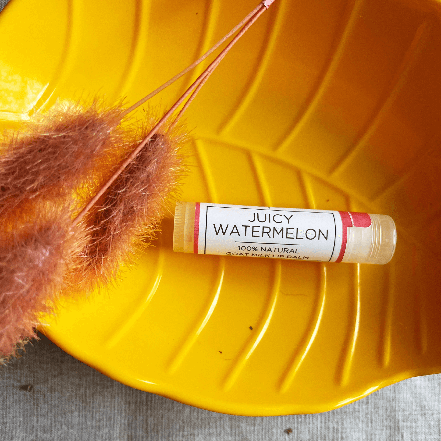 Juicy Watermelon | All Natural Goat Milk Lip Balm