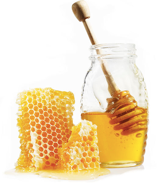 100% Pure Organic Non-GMO Raw Honey